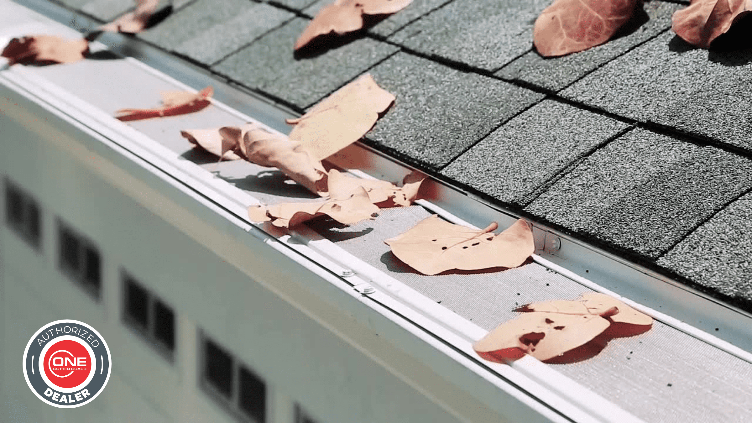 Close-up of a roof gutter with ONE Gutter Guard™ installed, featuring stainless steel mesh protection against leaves and debris, highlighting professional gutter protection and home improvement solutions. Close-up of a roof gutter with ONE Gutter Guard™ installed, featuring stainless steel mesh protection against leaves and debris, highlighting professional gutter protection and home improvement solutions.